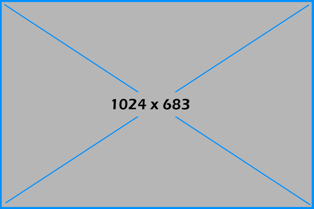 1024×683 png