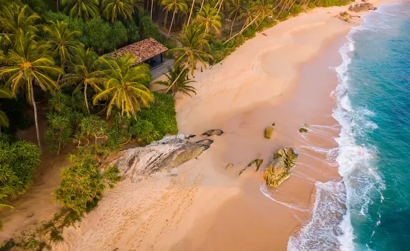 arugambe-travel-in-srilanka-ceylon-trailor