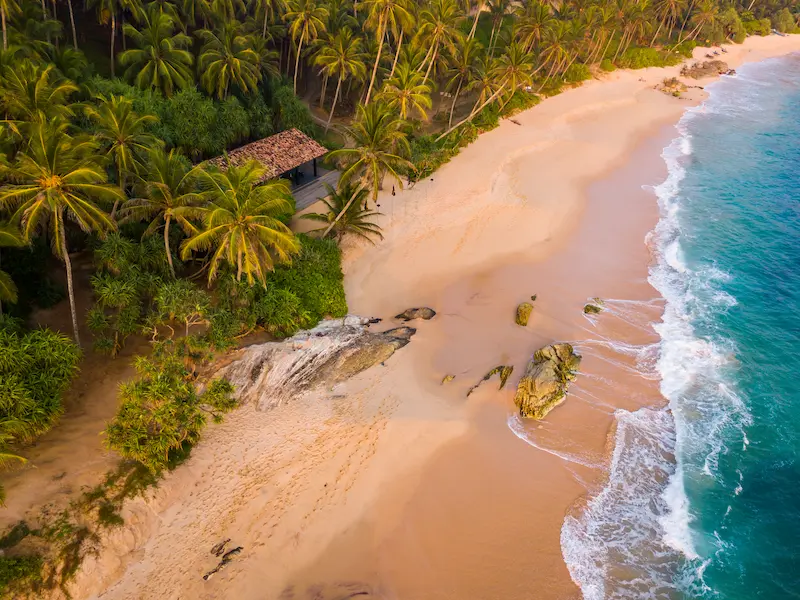 arugambe-travel-in-srilanka-ceylon-trailor