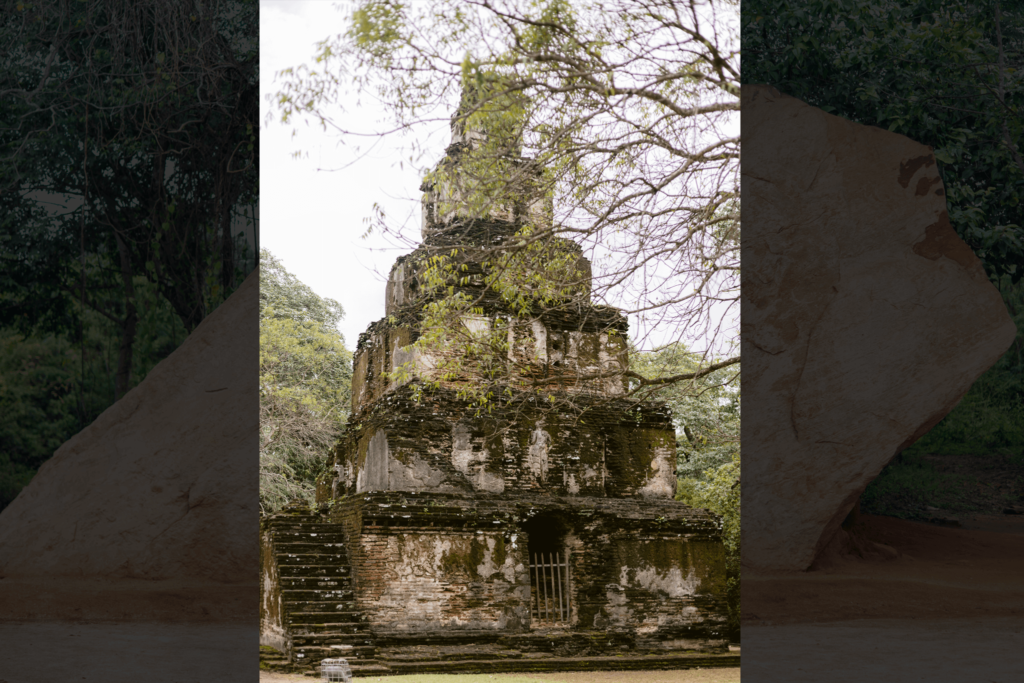 ceylon-trailor-polonnaruwa-03