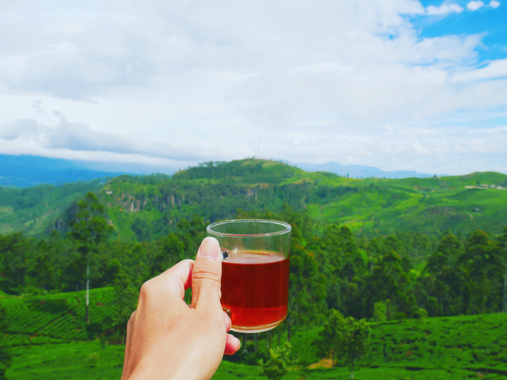 ella-travel-in-srilanka-ceylon-trailor-main-3